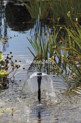 Фонтанная насадка Lava 20-5 K